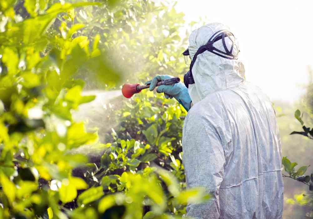 Apply Pesticides in a Food Service Establishment